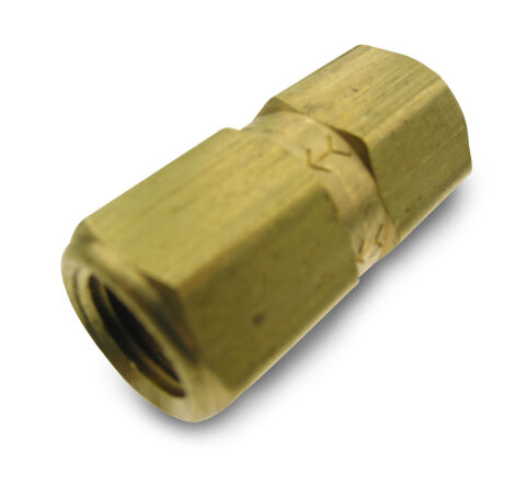 Check Valve - 1/4in FNPT x 1/4in&nbsp;FNPT
