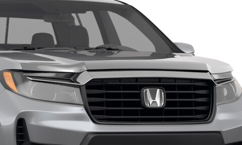 Aeroskin Hood Protector;&nbsp;Chrome