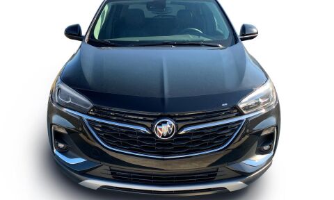 Aeroskin Hood Protector;&nbsp;Smoke