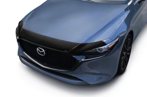 Aeroskin Hood Protector;&nbsp;Smoke