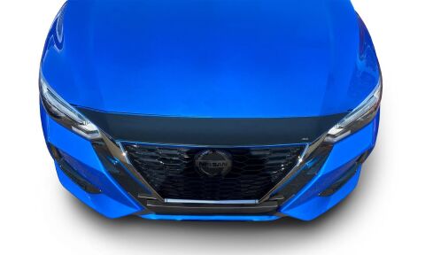Aeroskin Hood Protector;&nbsp;Smoke