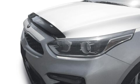 Carflector Hood Shield;&nbsp;Smoke