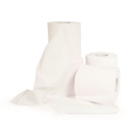 TST 2 Ply Toilet Tissue - 4 Rolls, 500&nbsp;sheets