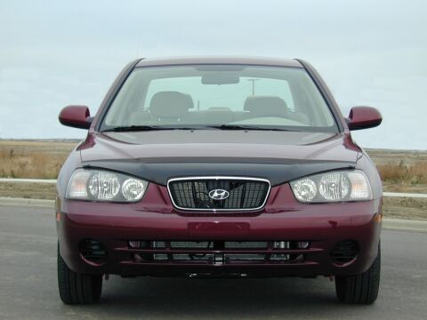 Focus Auto Design Formfit Hood&nbsp;Guard