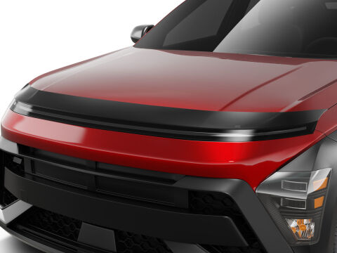 Aeroskin Hood Protector;&nbsp;Smoke