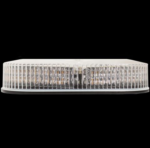 AMBER 360 BLUE BACK VIEW 10