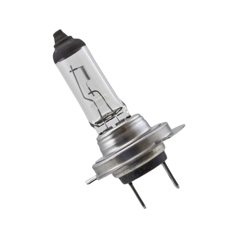 H7 halogen Bulb 55W&nbsp;12V