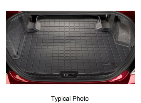 Cargo Liner w/Bumper Protector
