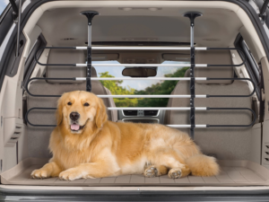 Pet Barrier & Fence&nbsp;Kit